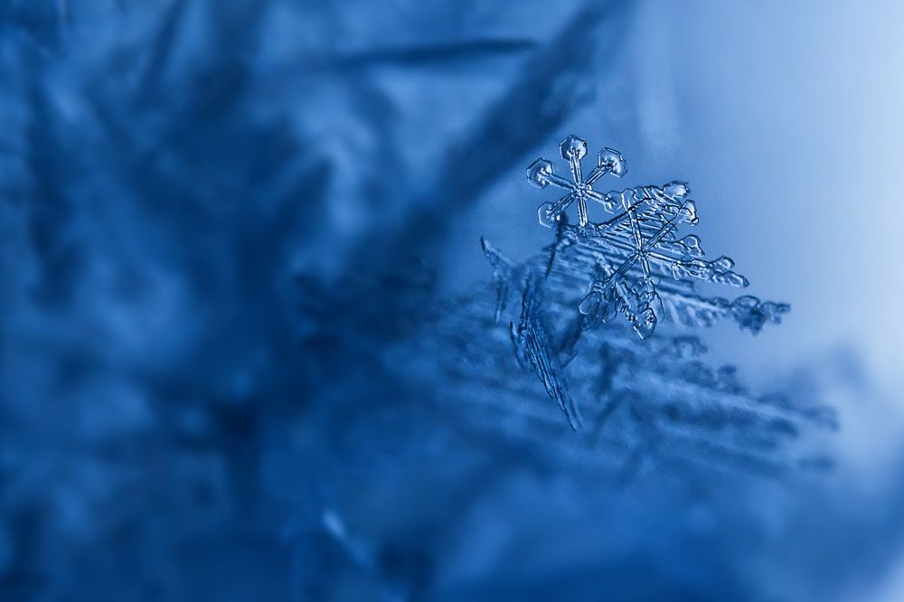 Photograph by Ромил Федоров