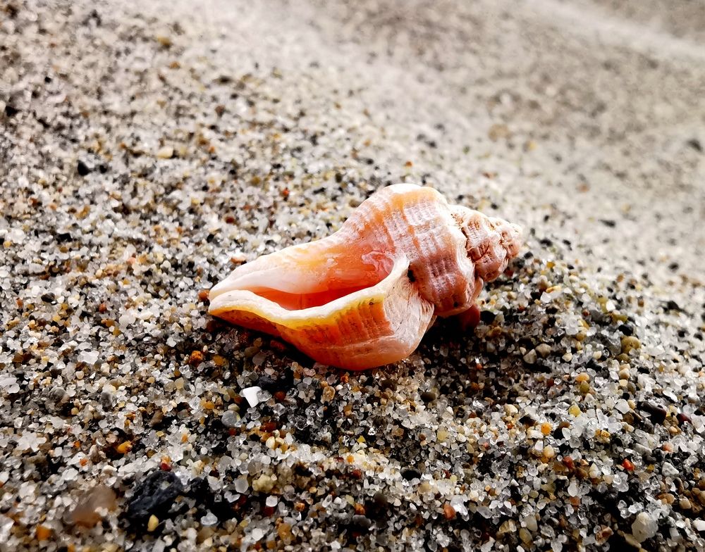 Photograph by Мария Маханько