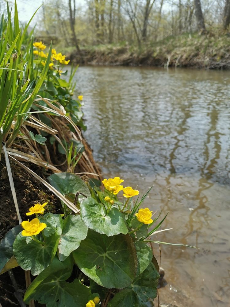 Photograph by Мария Маханько