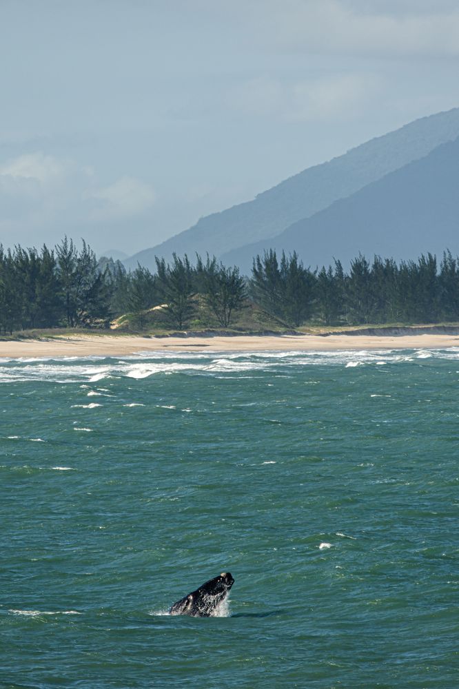 Photograph by Lucas de Almeida Alfaro