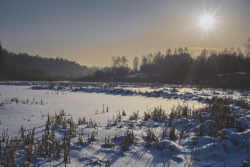 Photograph by Денис Литвиненко