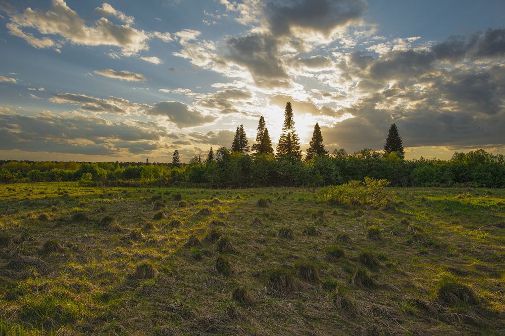 Photograph by Денис Литвиненко