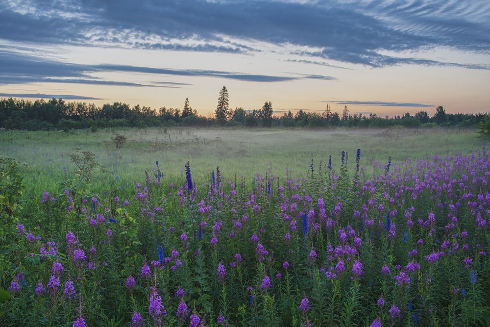 Photograph by Денис Литвиненко