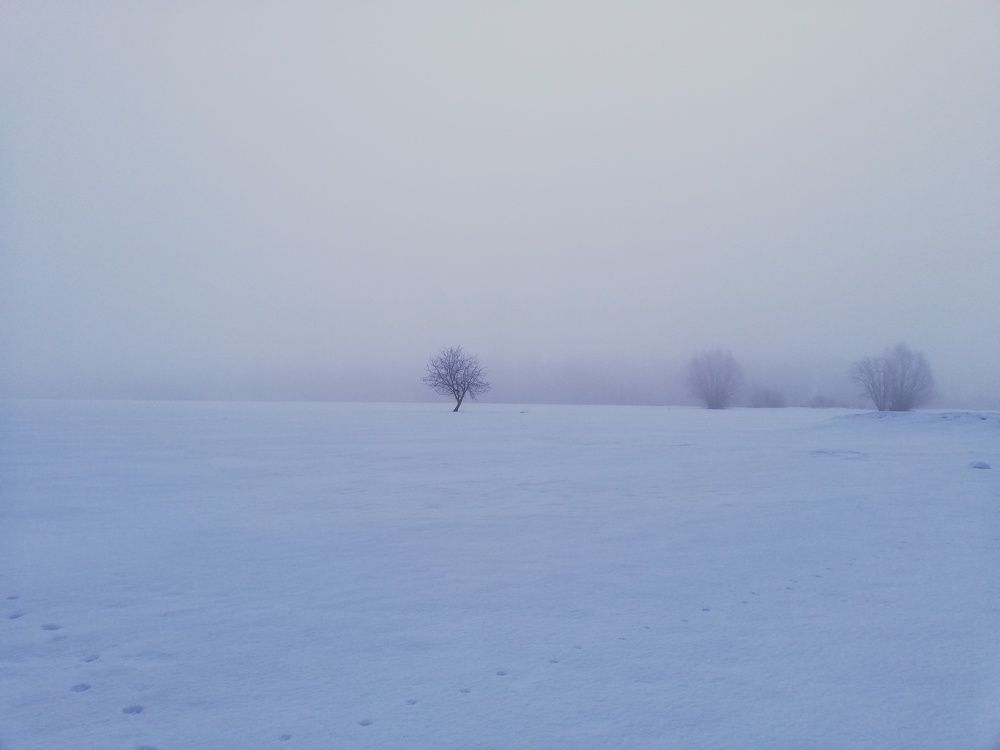 Фотография автора Константин Григорьев