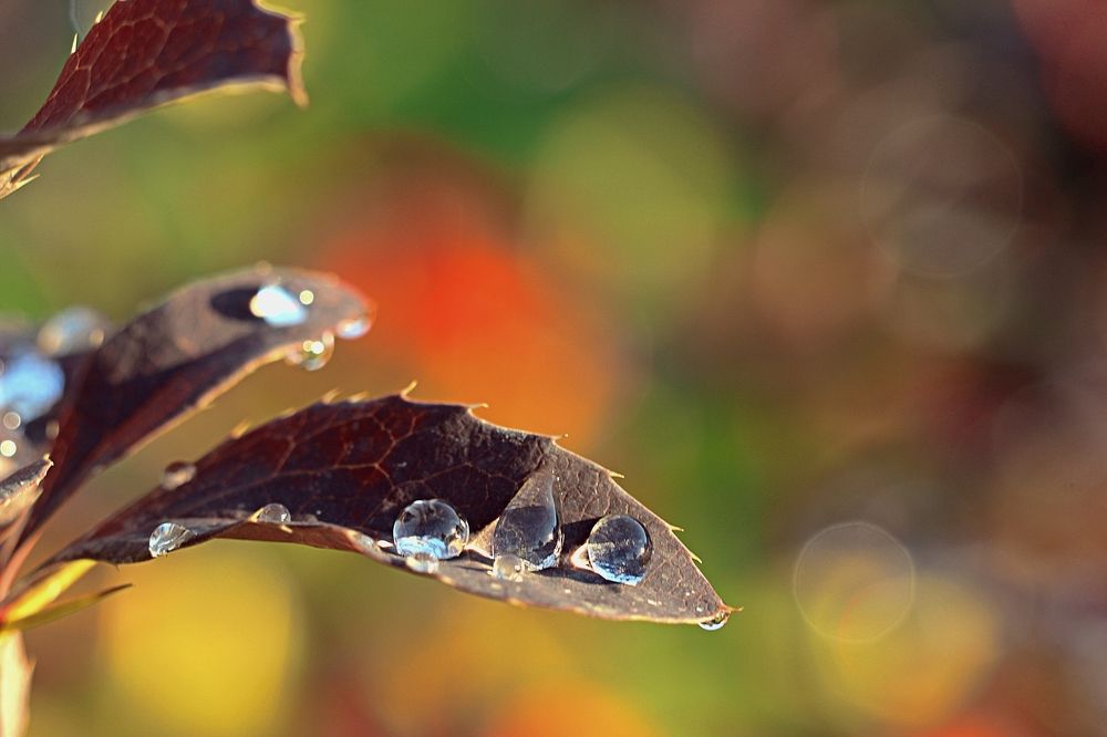 Photograph by Галина Мазур