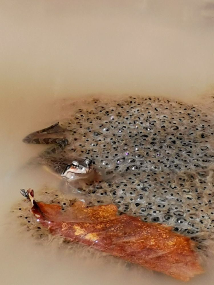 Photograph by Мария Маханько