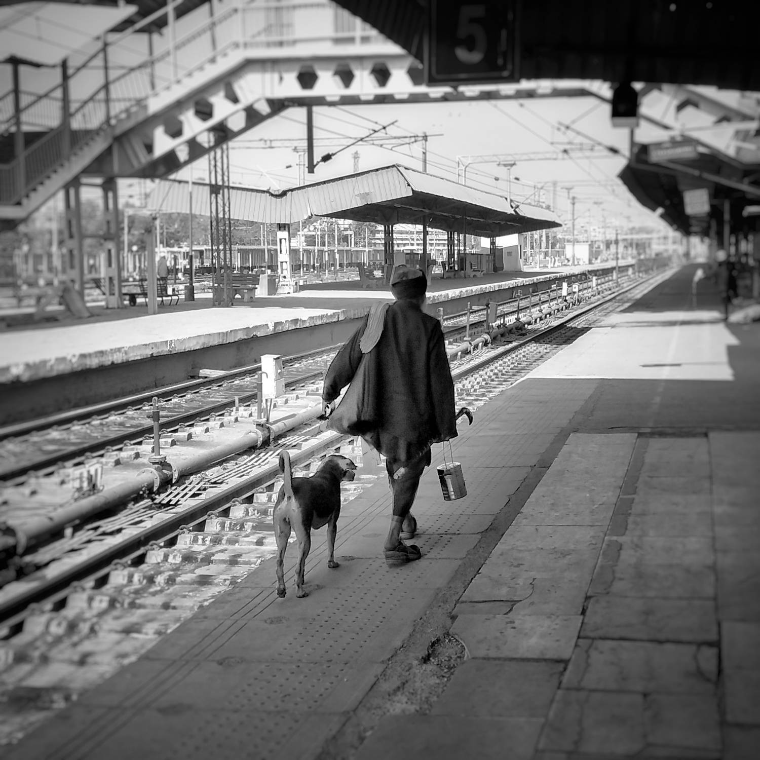 Photo #7399674