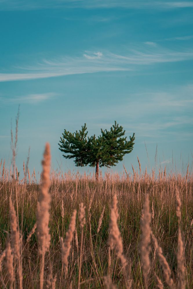 Вдали от всех