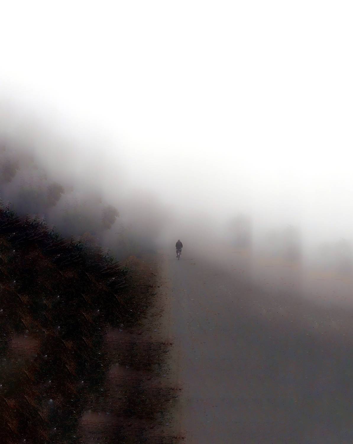 Through the winter