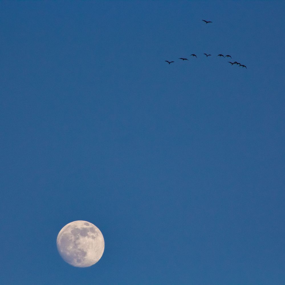 Photograph by Margil Zani