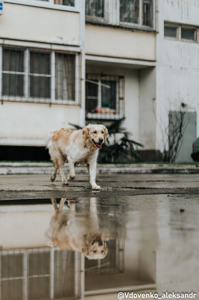 Photograph by Александр Вдовенко