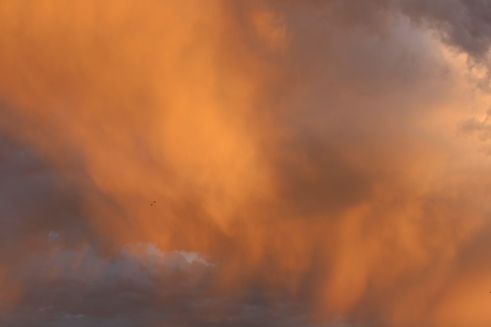 Photograph by Манца Нимгирова