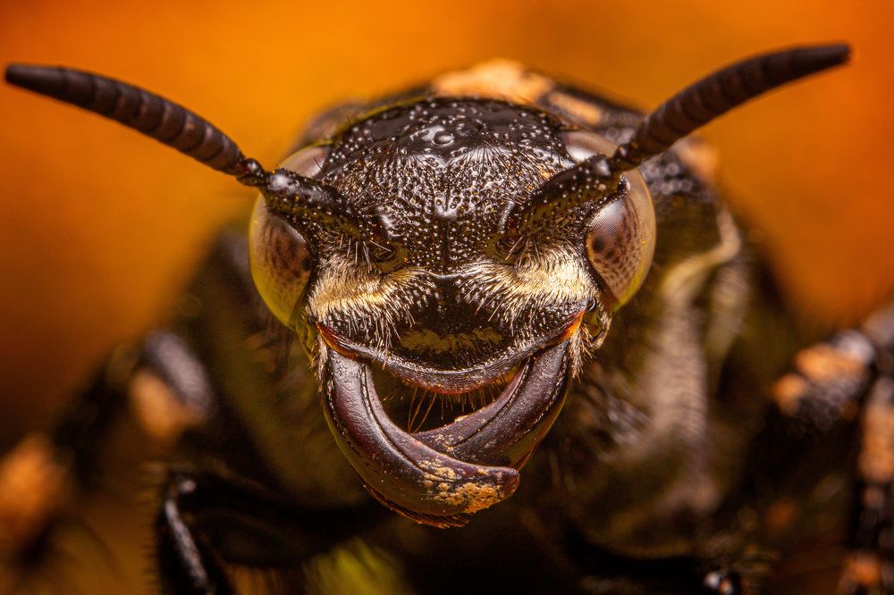 Photograph by Александр Балберов