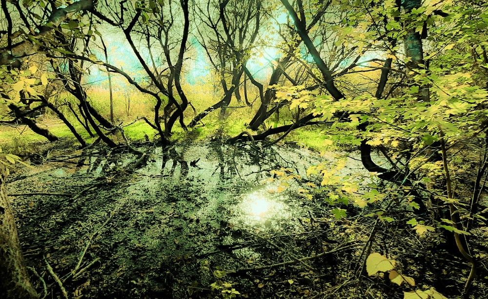 Photograph by Леонид Борисенко