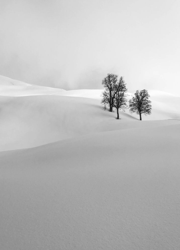 Photograph by Maria Inokenteva