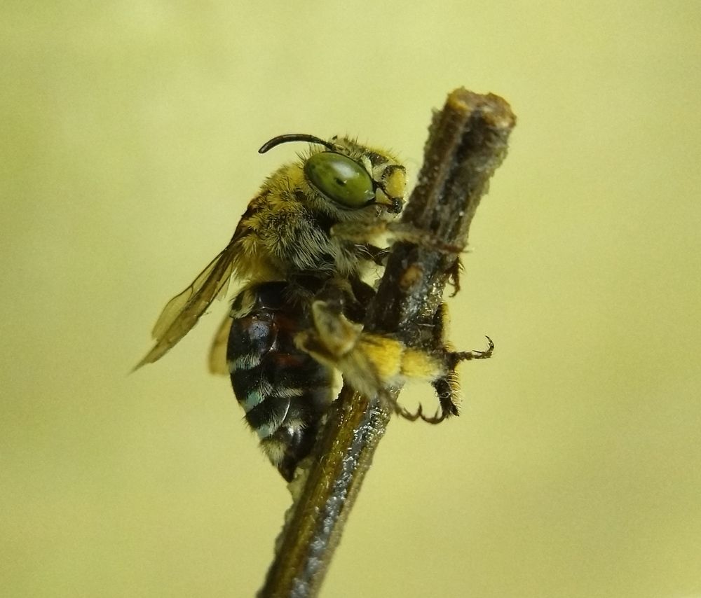 Photograph by Terence Ignatius