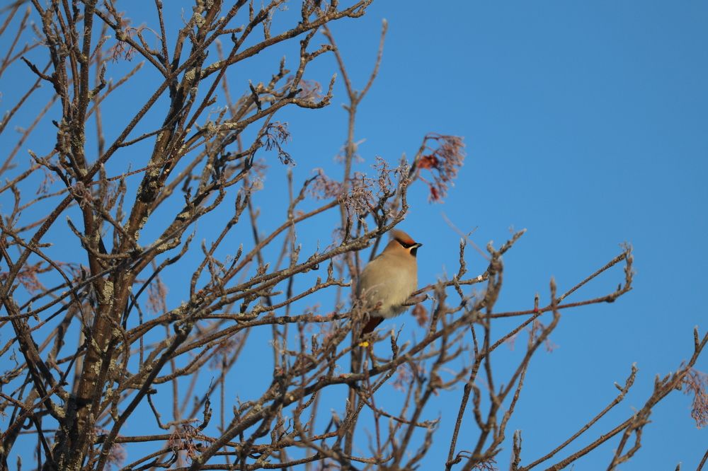 Photograph by Мазур Максим