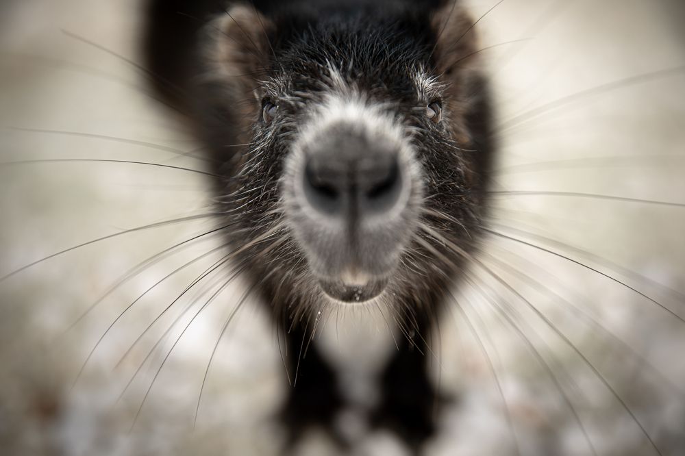 Photograph by Дмитрий Назаров