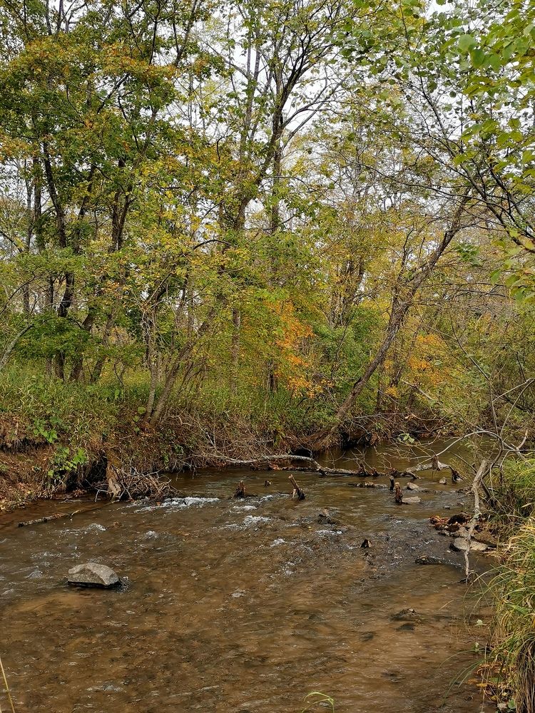 Photograph by Мария Маханько