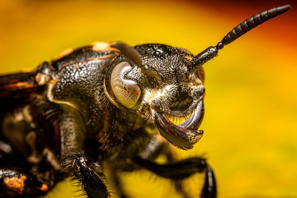 Photograph by Александр Балберов