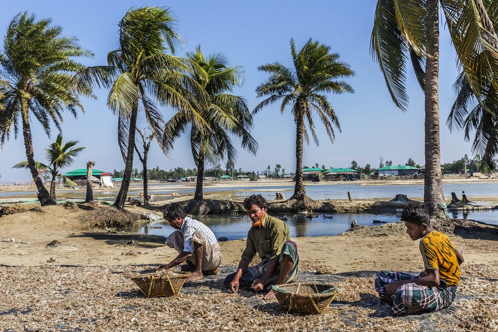 Photograph by sanchayan chowdhury