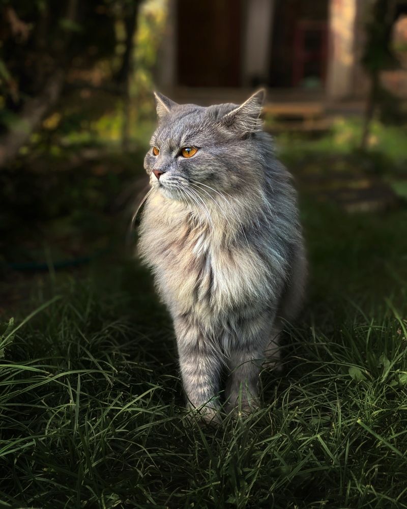 Photograph by Сергей Протасов