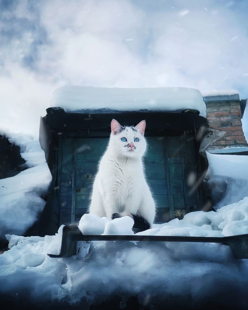 Photograph by Сергей Протасов