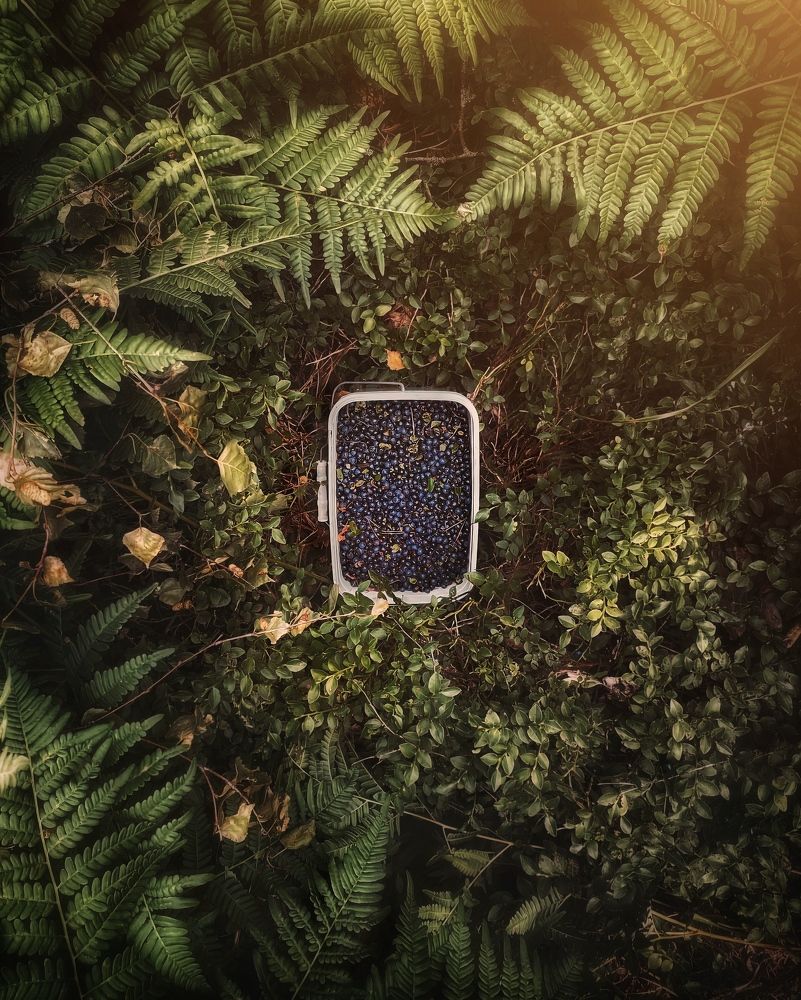 Photograph by Сергей Протасов