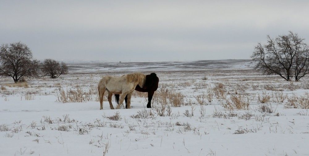 Photograph by Котельникова Татьяна