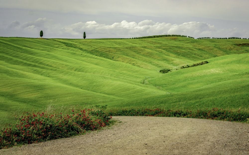 Photograph by Малика Маткарим