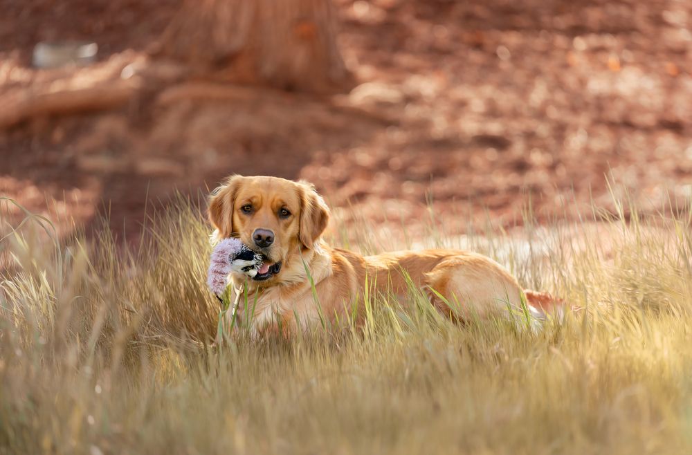 Photograph by Elena Tishenko