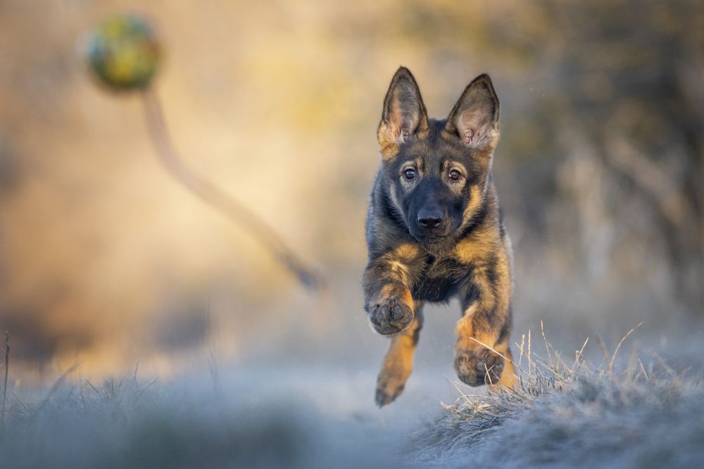 Photograph by Flora Jakab