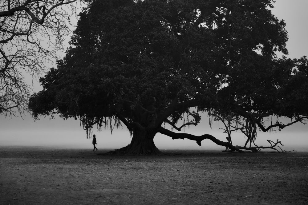 Photograph by Roshani Shah