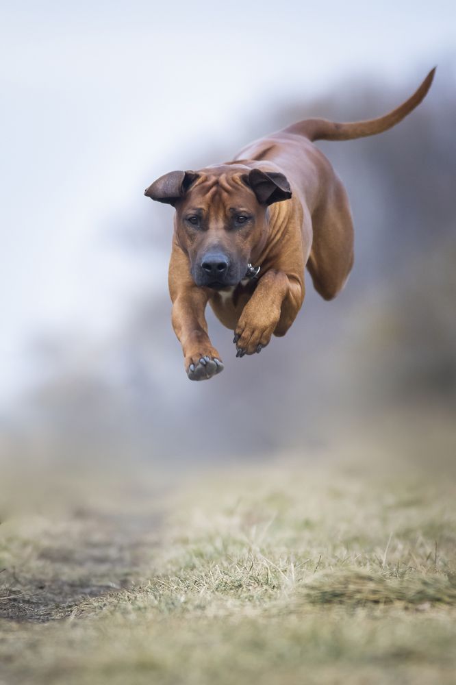 Photograph by Flora Jakab