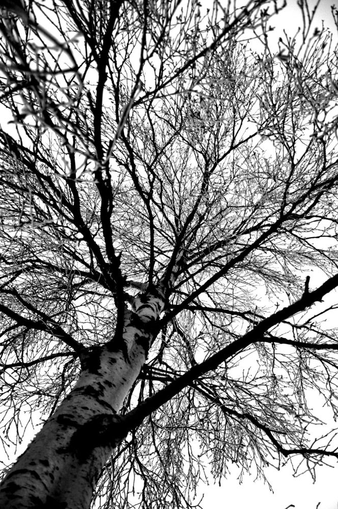 Photograph by Худякова Светлана Викторовна