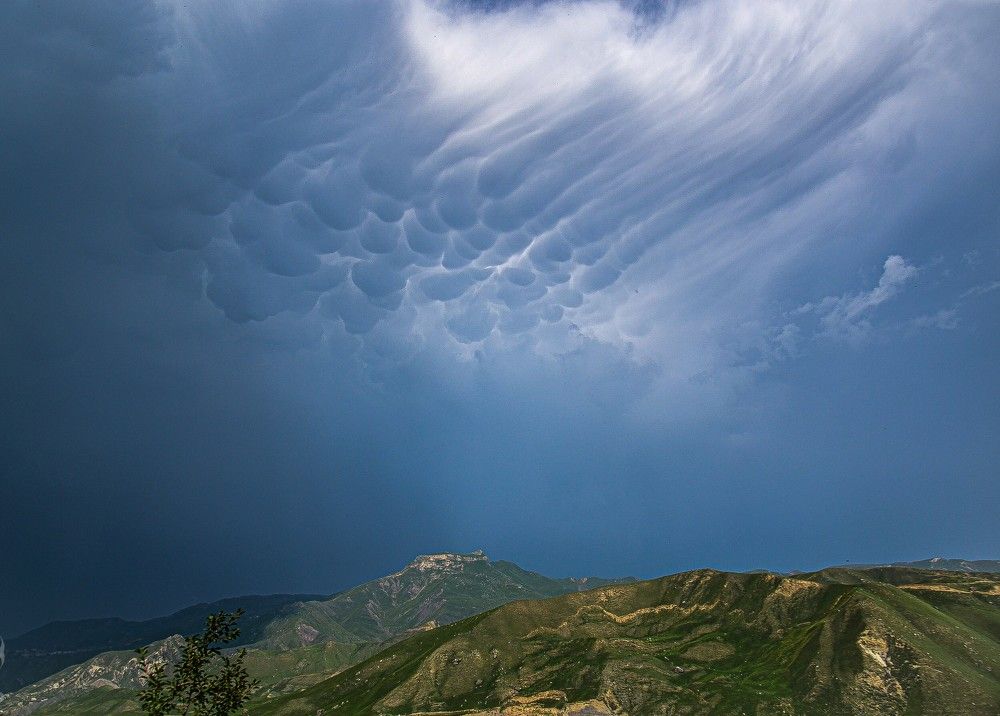 Photograph by Инна Гаджиева