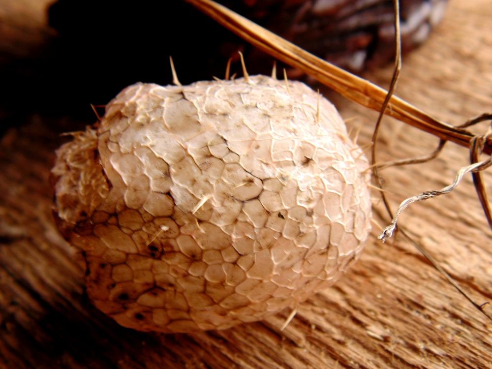 Photograph by Екатерина Сочнева