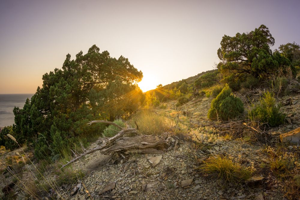 Тропинка к солнцу