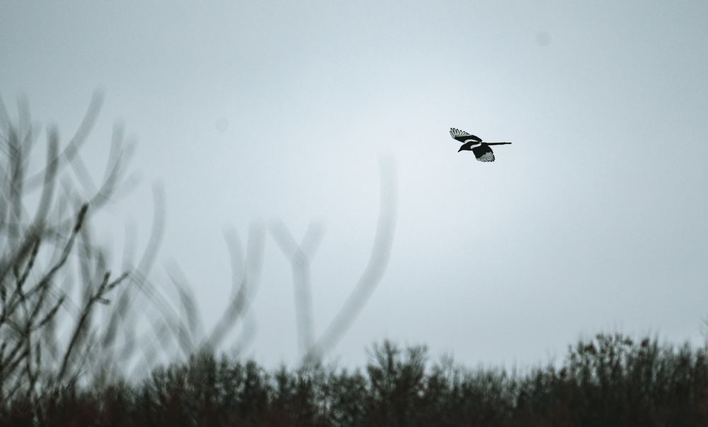 Photograph by Надежда Фетисова