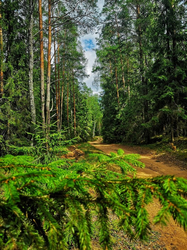 Photograph by Екатерина Кузьмина