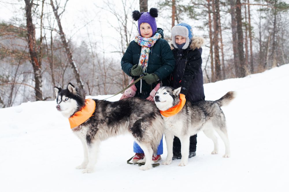 Photograph by Юлия Ерофеева