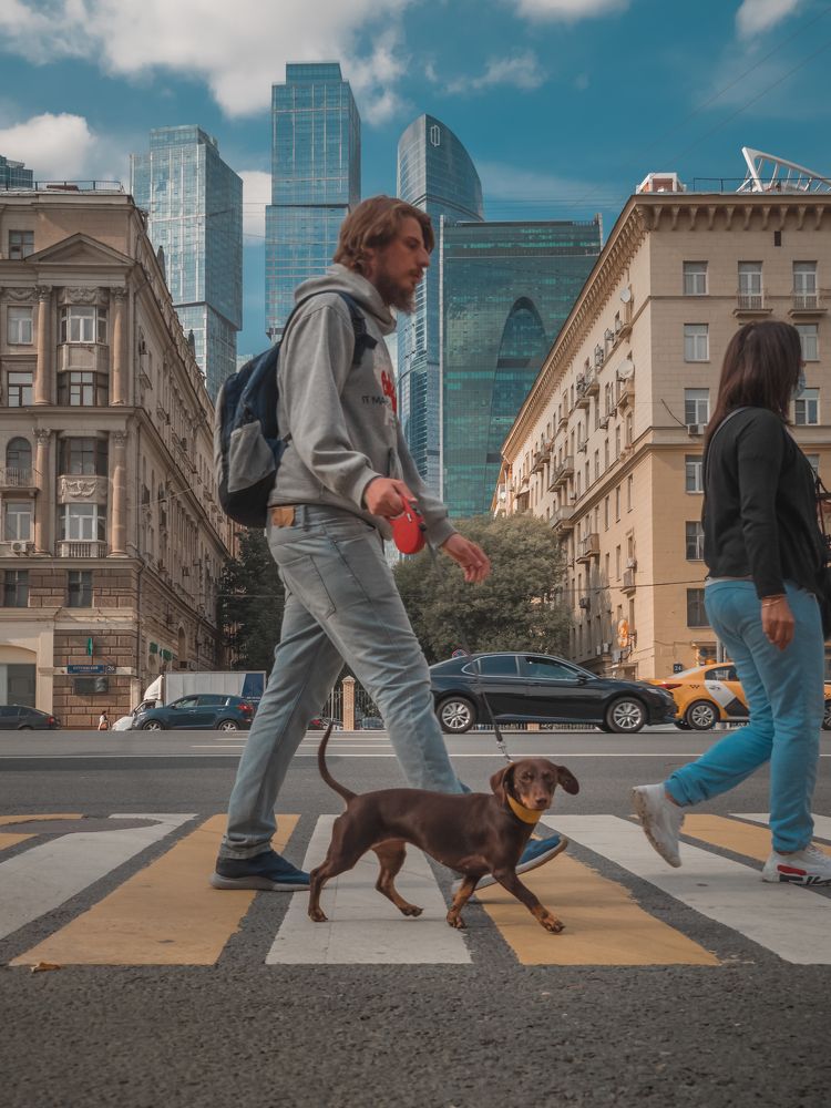 City walk. Городская прогулка.