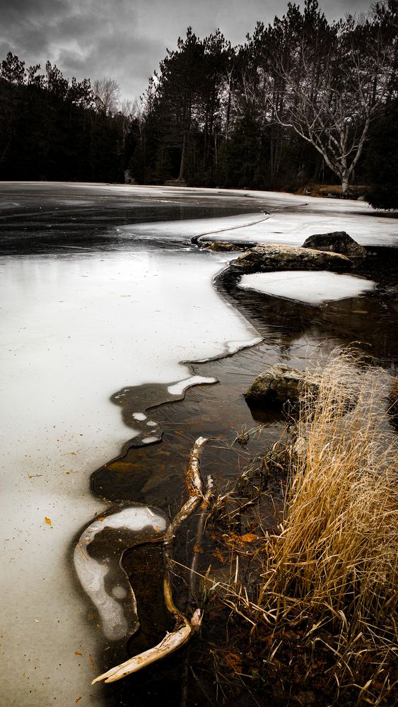 Photograph by Yaniv Abramovitz