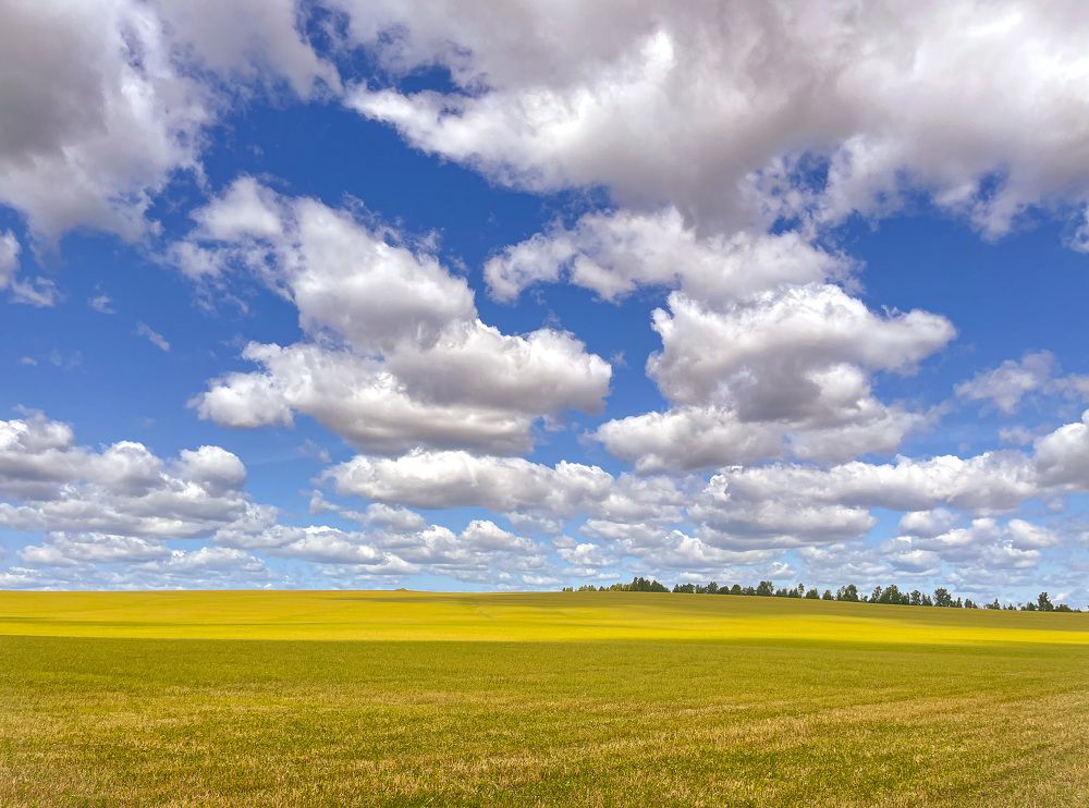 Фотография автора Алиса Чурчудесная