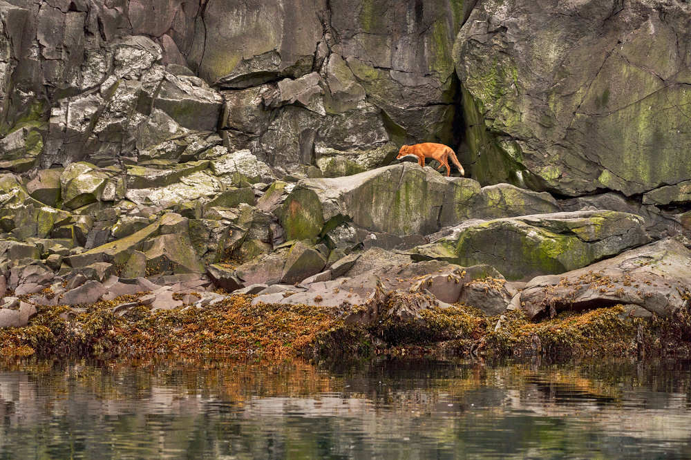 Photograph by Maxim Balakhovskii