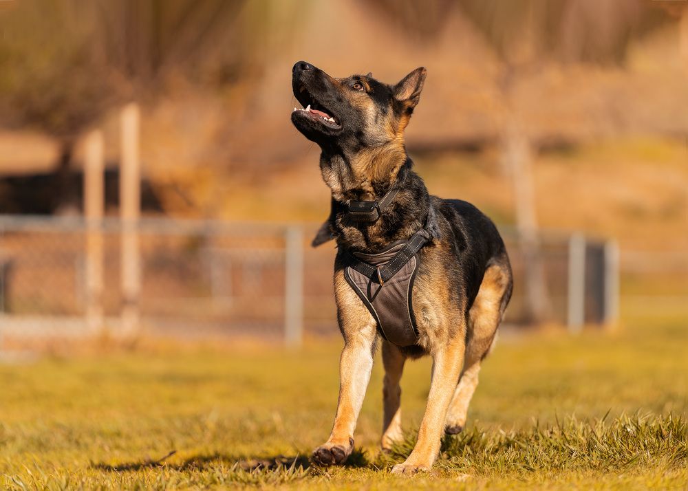 Photograph by Elena Tishenko