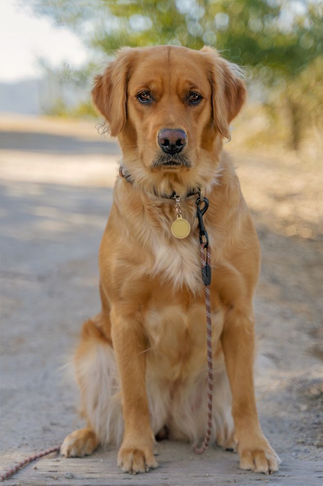 Photograph by Elena Tishenko