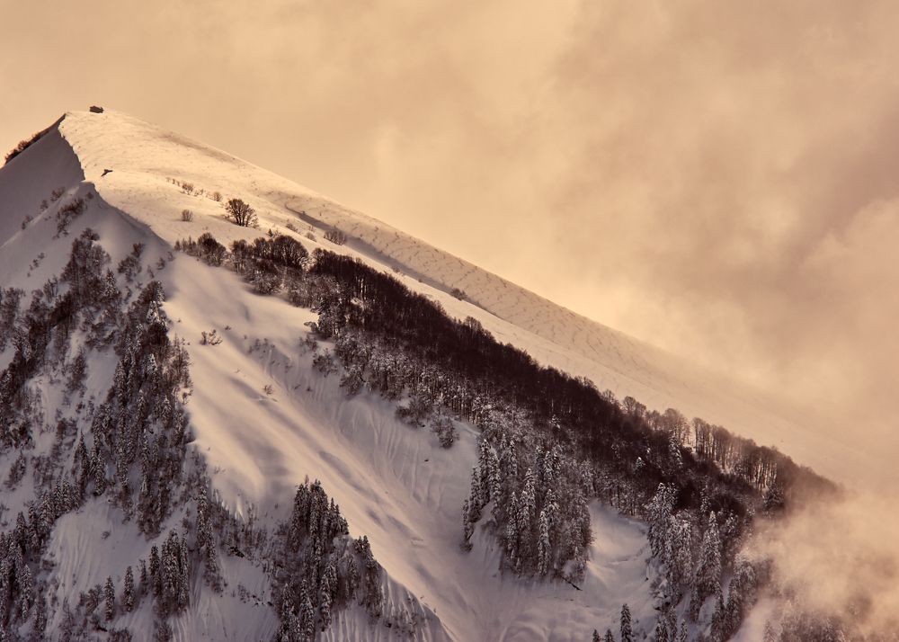 Photograph by Мэлсон