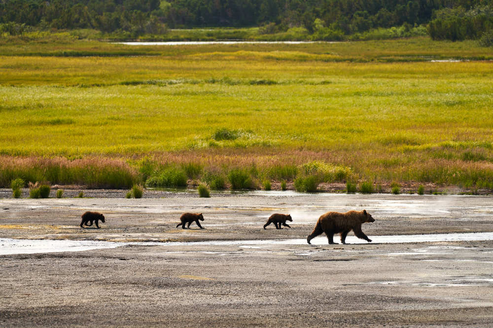 Photograph by Maxim Balakhovskii