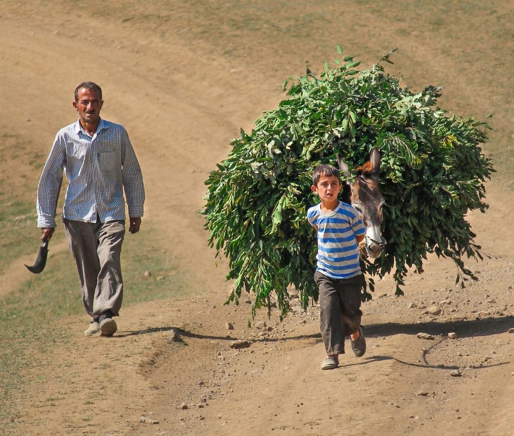 Photograph by Rastin Haghighi